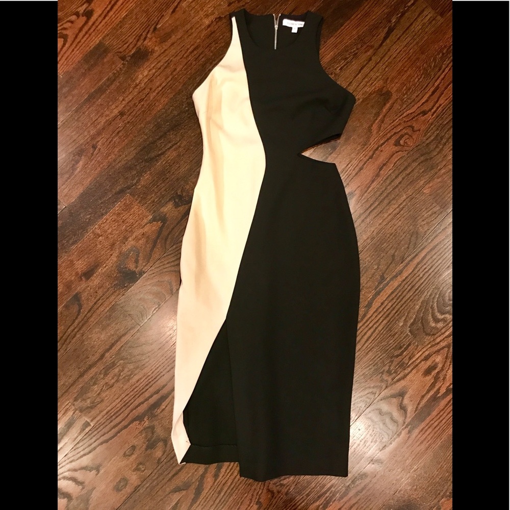 Elizabeth and James cutout dress